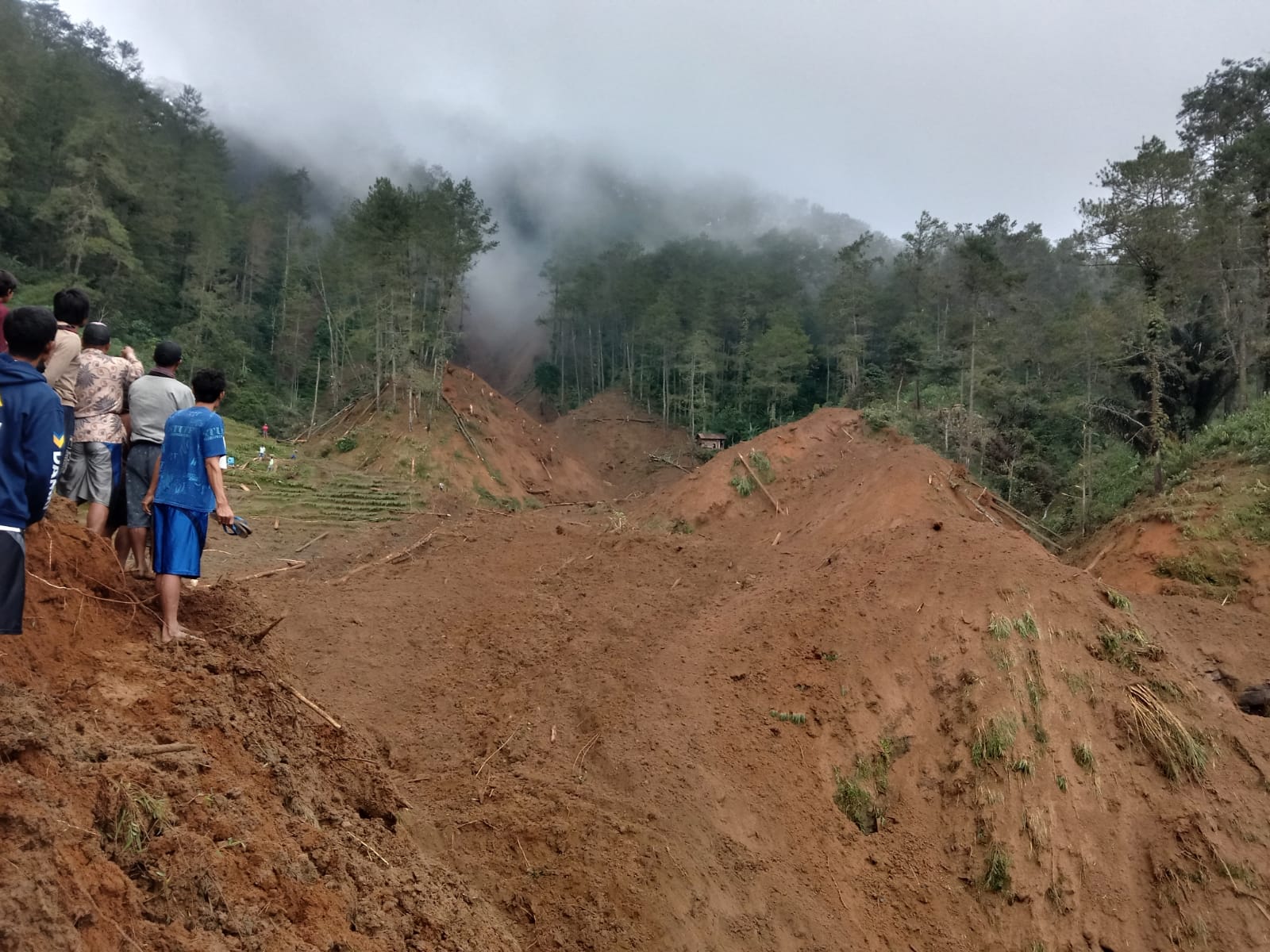 Proses evakuasi manual korban longsor di area persawahan Dusun Siranti, Desa Bongas, Pemalang, dengan latar belakang perbukitan yang labil