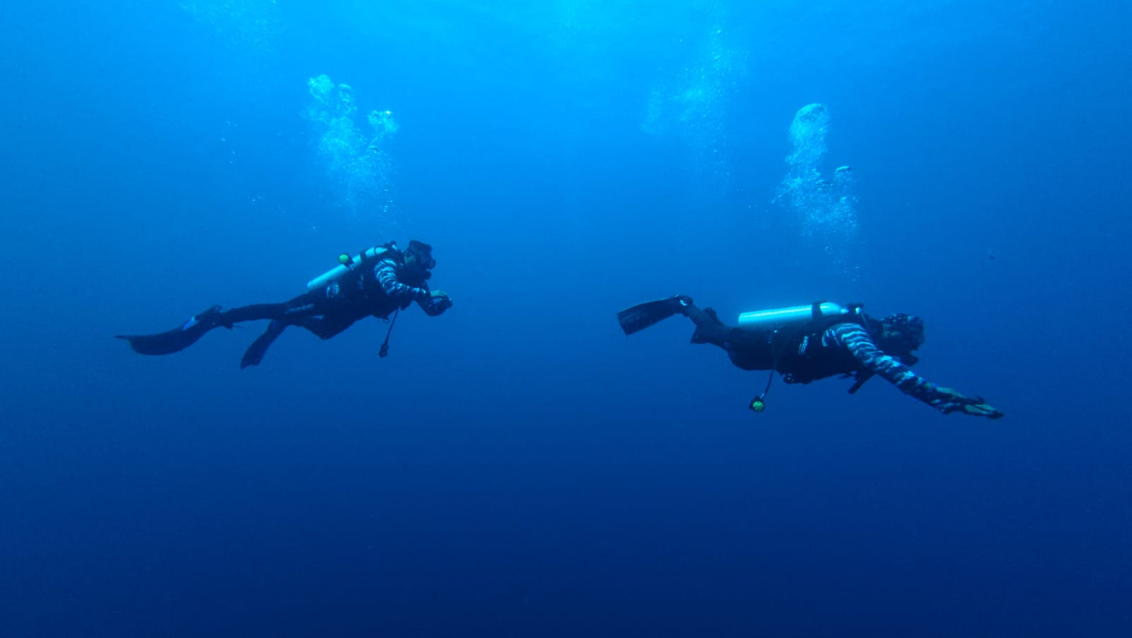 Tim penyelam Satkoppeba Koarmada II turun ke laut dari atas KRI Pulau Fani-731. Mereka melakukan pencarian bawah air untuk menemukan korban KM Feronia.